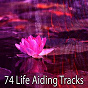 Album 74 Life Aiding Tracks de Massage