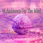 Album 44 Ambience for the Mind de Brain Study Music Guys