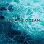 Album Into the Ocean de Stardust At 432hz