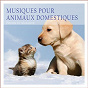 Album Musiques pour animaux domestiques: Détente et relaxation de Lilac Storm / Daniel Moon / Tombi Bombai