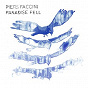 Album Paradise Fell de Piers Faccini