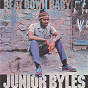 Album Beat Down Babylon de Junior Byles