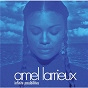 Album Infinite Possibilities de Amel Larrieux